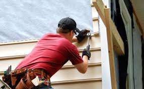 Best Siding Painting and Refinishing  in Bayard, NE